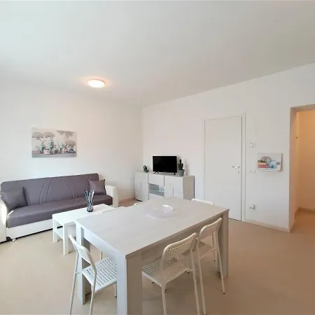 Daire Winter Spring Summer *